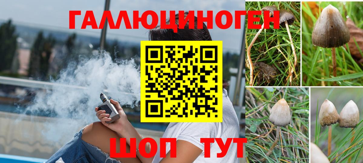 Галлюциногенные грибы прущие грибы  Псилоцибиновые грибы Cubensis  Прохладный  Вход с VPN 